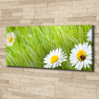 Cuadro canvas moderno de gran formato horizontal margaritas