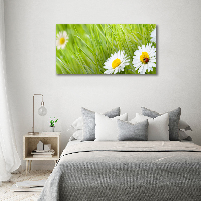 Cuadro canvas moderno de gran formato horizontal margaritas
