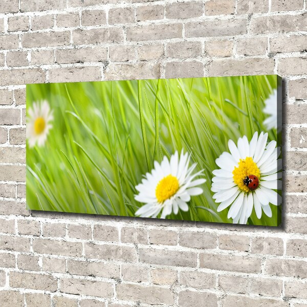 Cuadro canvas moderno de gran formato horizontal margaritas
