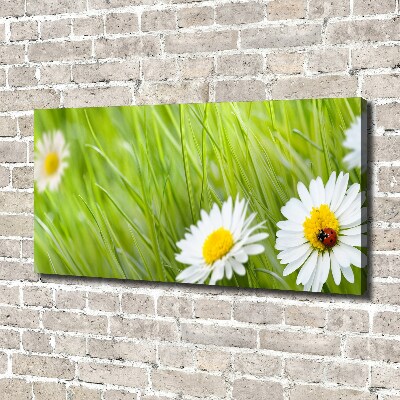 Cuadro canvas moderno de gran formato horizontal margaritas