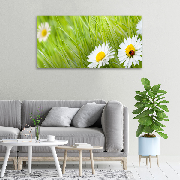 Cuadro canvas moderno de gran formato horizontal margaritas