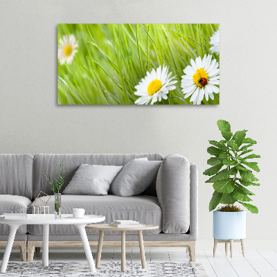Cuadro canvas moderno de gran formato horizontal margaritas