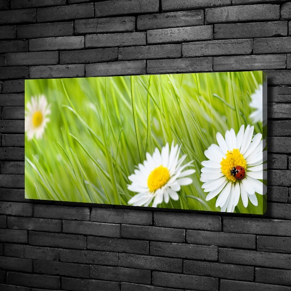 Cuadro canvas moderno de gran formato horizontal margaritas