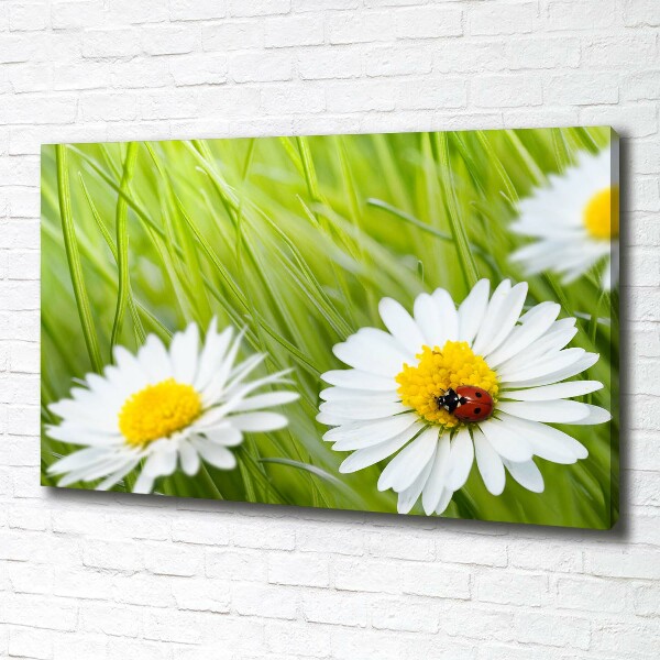 Cuadro canvas moderno de gran formato horizontal margaritas