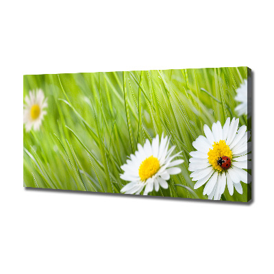 Cuadro canvas moderno de gran formato horizontal margaritas