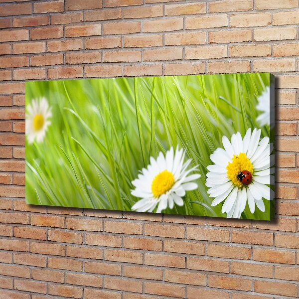 Cuadro canvas moderno de gran formato horizontal margaritas