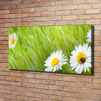 Cuadro canvas moderno de gran formato horizontal margaritas