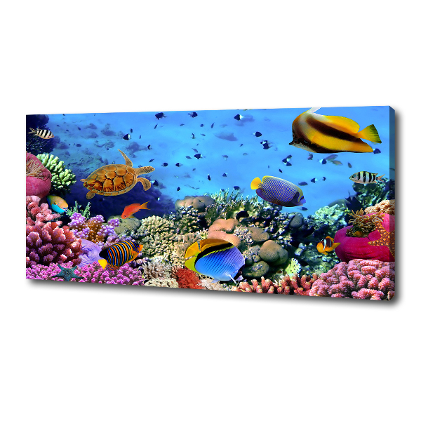 Fotocuadro en lienzo de alta calidad horizontal Arrecife de coral