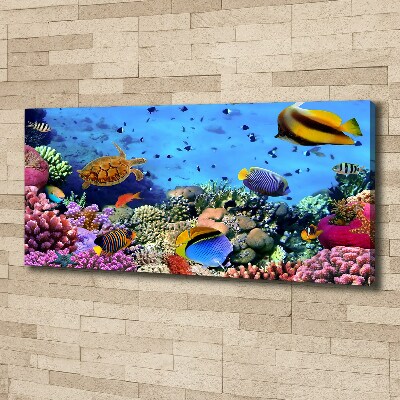 Fotocuadro en lienzo de alta calidad horizontal Arrecife de coral