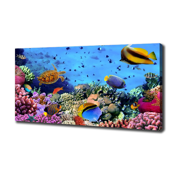 Fotocuadro en lienzo de alta calidad horizontal Arrecife de coral