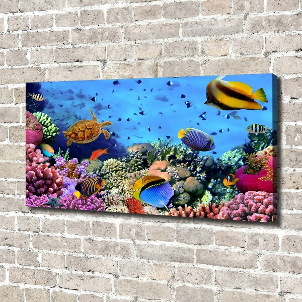 Fotocuadro en lienzo de alta calidad horizontal Arrecife de coral