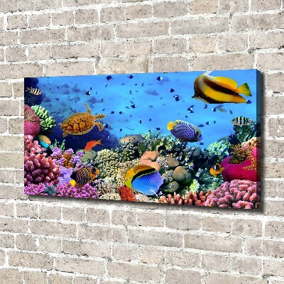 Fotocuadro en lienzo de alta calidad horizontal Arrecife de coral