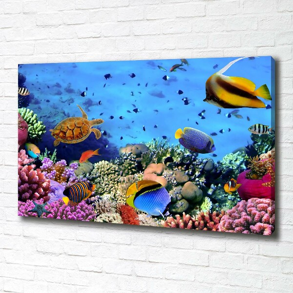 Fotocuadro en lienzo de alta calidad horizontal Arrecife de coral