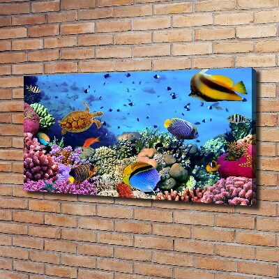 Fotocuadro en lienzo de alta calidad horizontal Arrecife de coral