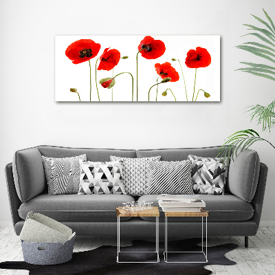 Foto en lienzo con acabado profesional horizontal Amapolas