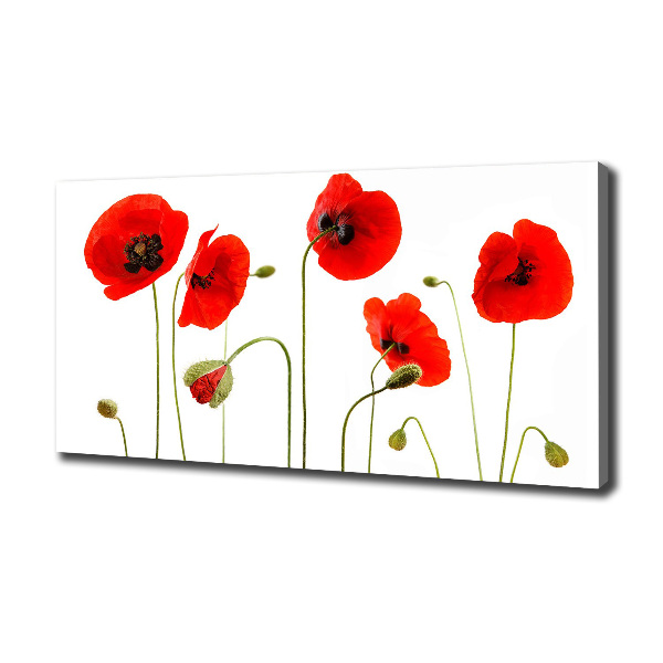 Foto en lienzo con acabado profesional horizontal Amapolas