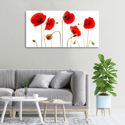 Foto en lienzo con acabado profesional horizontal Amapolas