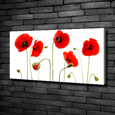 Foto en lienzo con acabado profesional horizontal Amapolas