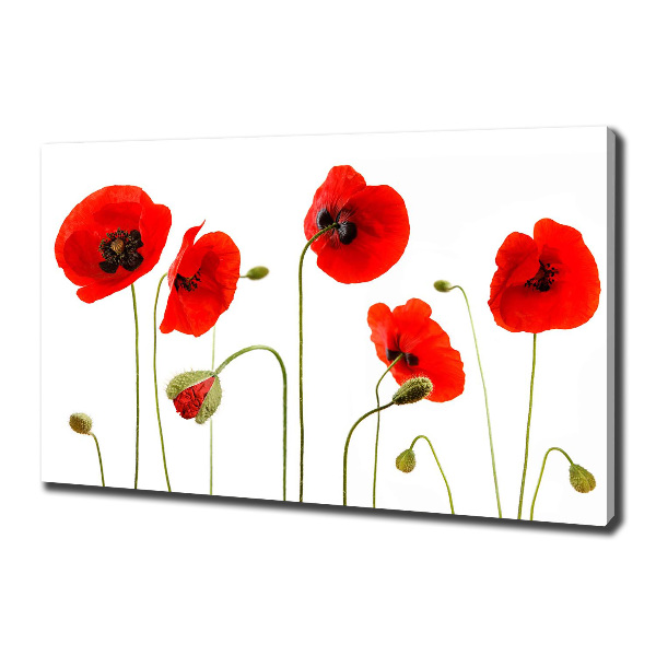 Foto en lienzo con acabado profesional horizontal Amapolas