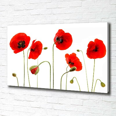 Foto en lienzo con acabado profesional horizontal Amapolas
