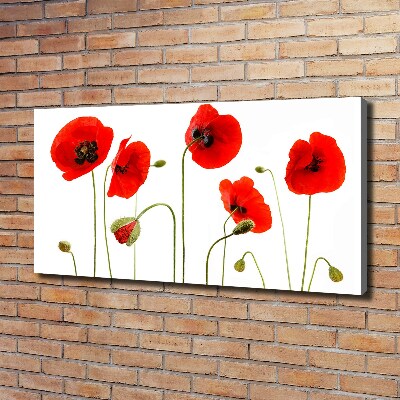 Foto en lienzo con acabado profesional horizontal Amapolas