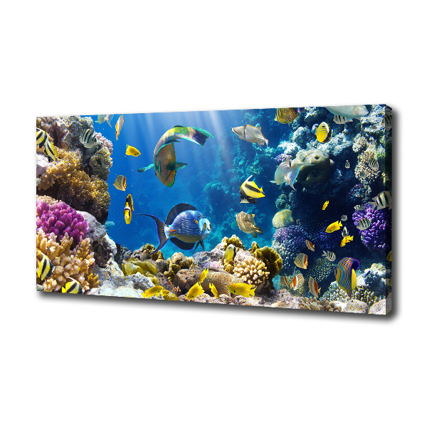 Cuadro canvas moderno de gran formato horizontal Arrecife de coral
