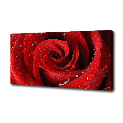 Cuadro canvas moderno de gran formato horizontal Gotas sobre una rosa