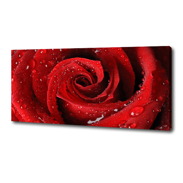 Cuadro canvas moderno de gran formato horizontal Gotas sobre una rosa