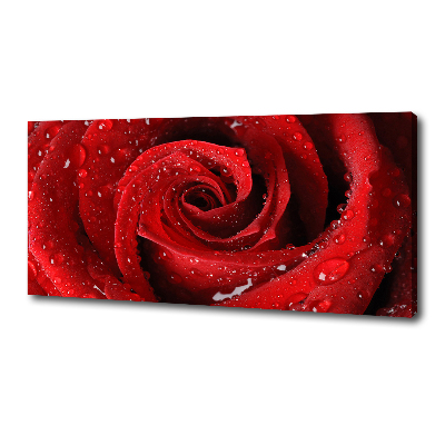 Cuadro canvas moderno de gran formato horizontal Gotas sobre una rosa