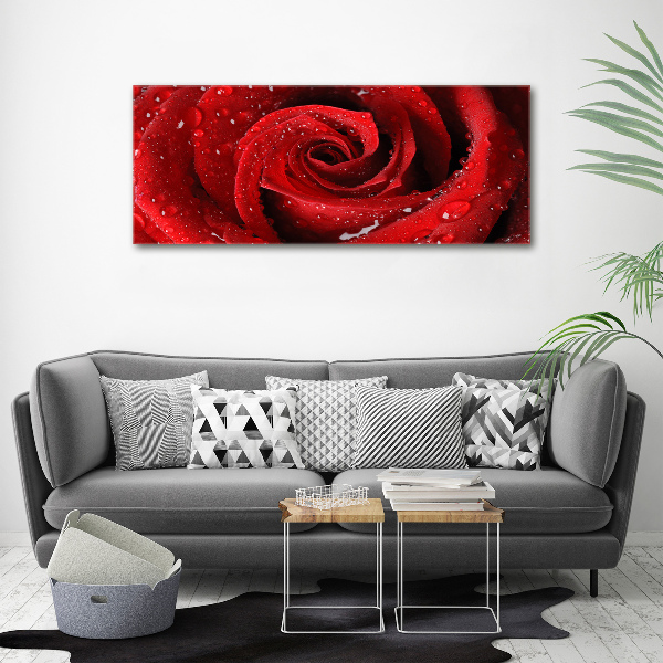 Cuadro canvas moderno de gran formato horizontal Gotas sobre una rosa