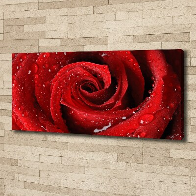 Cuadro canvas moderno de gran formato horizontal Gotas sobre una rosa