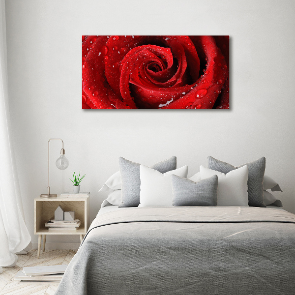 Cuadro canvas moderno de gran formato horizontal Gotas sobre una rosa