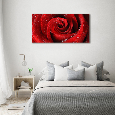 Cuadro canvas moderno de gran formato horizontal Gotas sobre una rosa