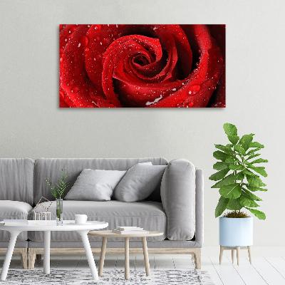 Cuadro canvas moderno de gran formato horizontal Gotas sobre una rosa