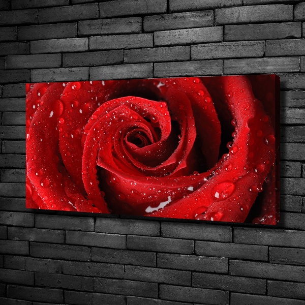 Cuadro canvas moderno de gran formato horizontal Gotas sobre una rosa