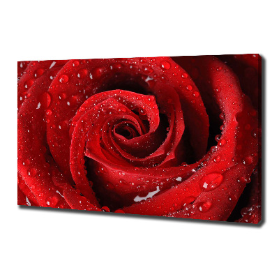 Cuadro canvas moderno de gran formato horizontal Gotas sobre una rosa