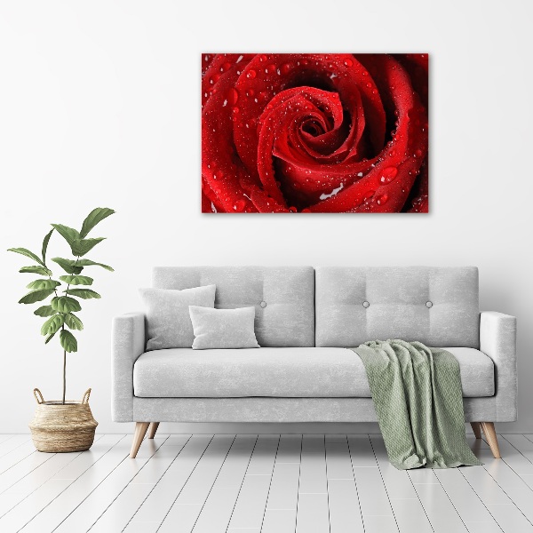 Cuadro canvas moderno de gran formato horizontal Gotas sobre una rosa