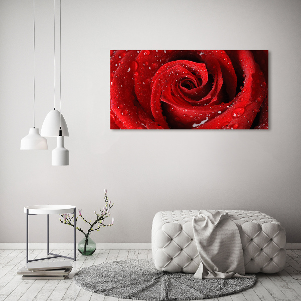 Cuadro canvas moderno de gran formato horizontal Gotas sobre una rosa