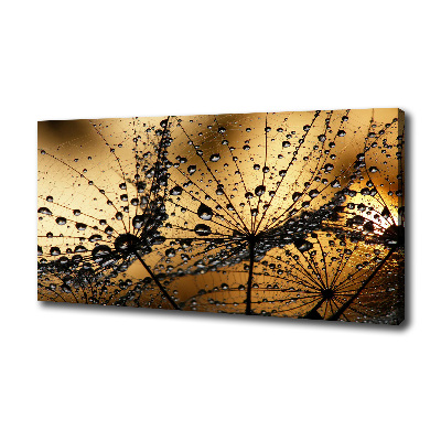 Foto en lienzo con acabado profesional horizontal semillas de diente de león