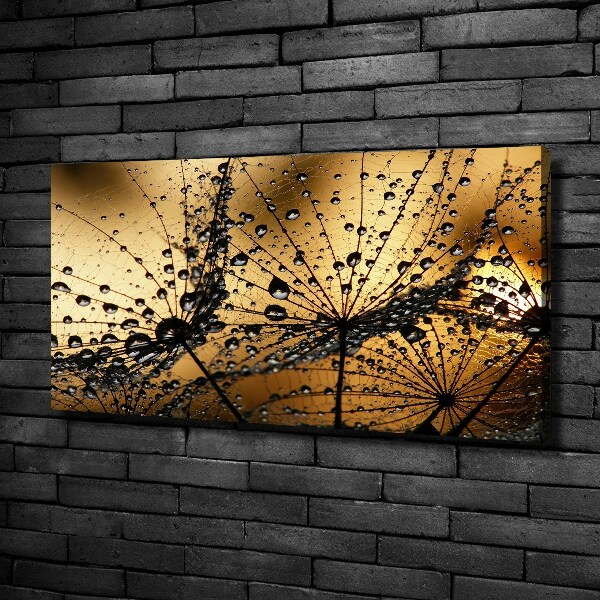 Foto en lienzo con acabado profesional horizontal semillas de diente de león