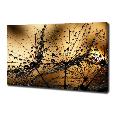 Foto en lienzo con acabado profesional horizontal semillas de diente de león