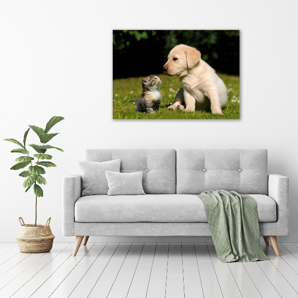 Foto en lienzo con acabado profesional horizontal Perro y gato en el prado