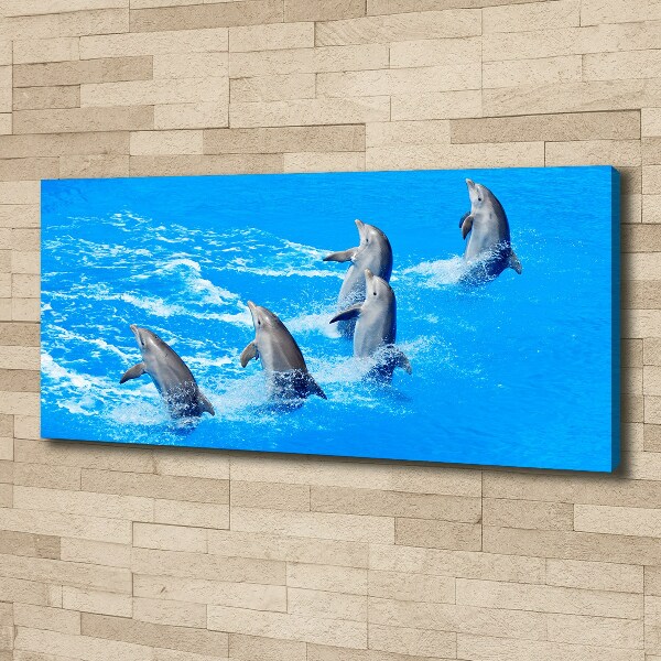 Cuadro canvas con impresión uv duradera horizontal Delfines