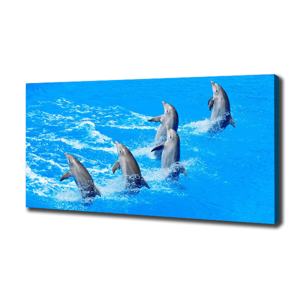 Cuadro canvas con impresión uv duradera horizontal Delfines