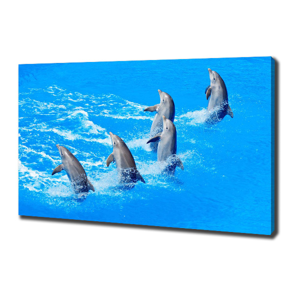 Cuadro canvas con impresión uv duradera horizontal Delfines