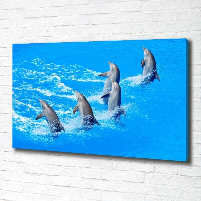 Cuadro canvas con impresión uv duradera horizontal Delfines