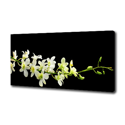 Cuadro canvas moderno de gran formato horizontal Orquídea