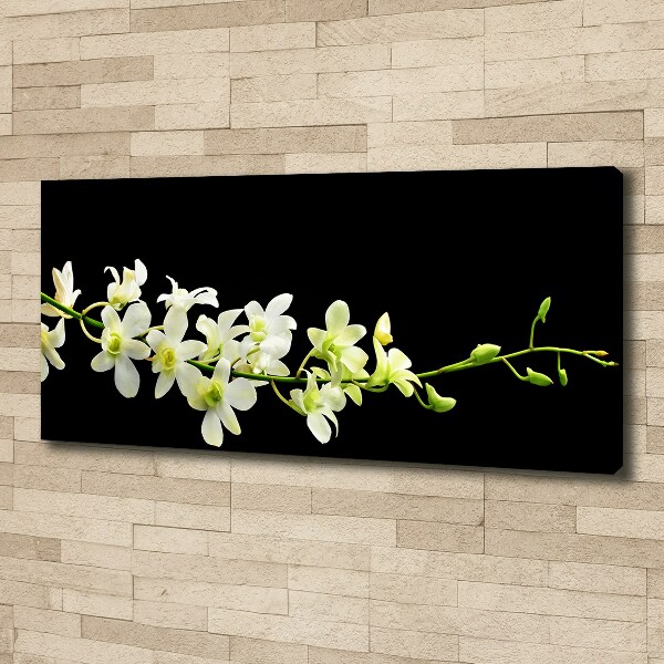Cuadro canvas moderno de gran formato horizontal Orquídea