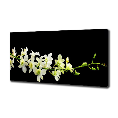 Cuadro canvas moderno de gran formato horizontal Orquídea