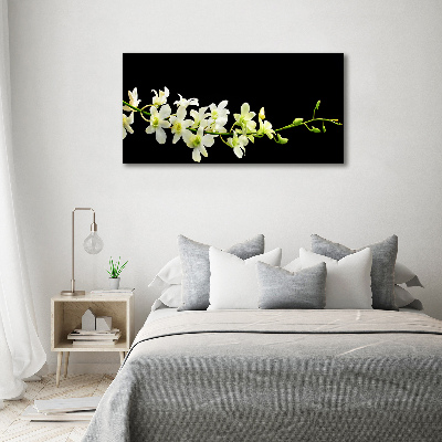 Cuadro canvas moderno de gran formato horizontal Orquídea